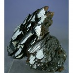 johm202401-002-med.jpg
