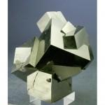 pnp202415-002-med.jpg