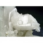 dmqu202401-003-med.jpg
