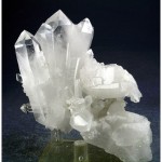 dmqu202401-005-med.jpg