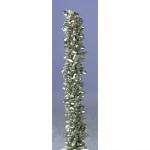 mpmc2022226-002-med.jpg