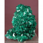 rodp202502-006-med.jpg