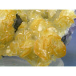 jhca202601-003-med jhca202601-003-med