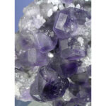 jhca202601-005-med jhca202601-005-med