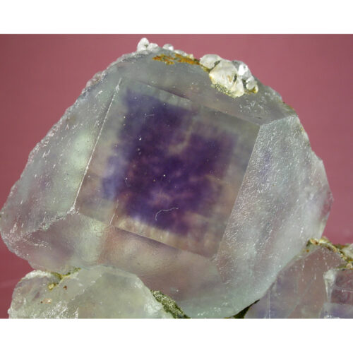 tufl202601-001-med tufl202601-001-med