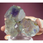 tufl202601-002-med tufl202601-002-med