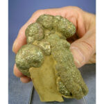 Pyrite from Abbotabad, Mansehra District, Pakistan - Image 2