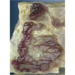 Amethyst from Gairo District, Morogoro, Tanzania - Image 2