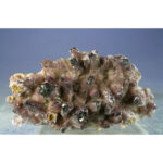 Yttrofluorite, Calcite from Qinglong Mine, Guizhou Province, China - Image 2