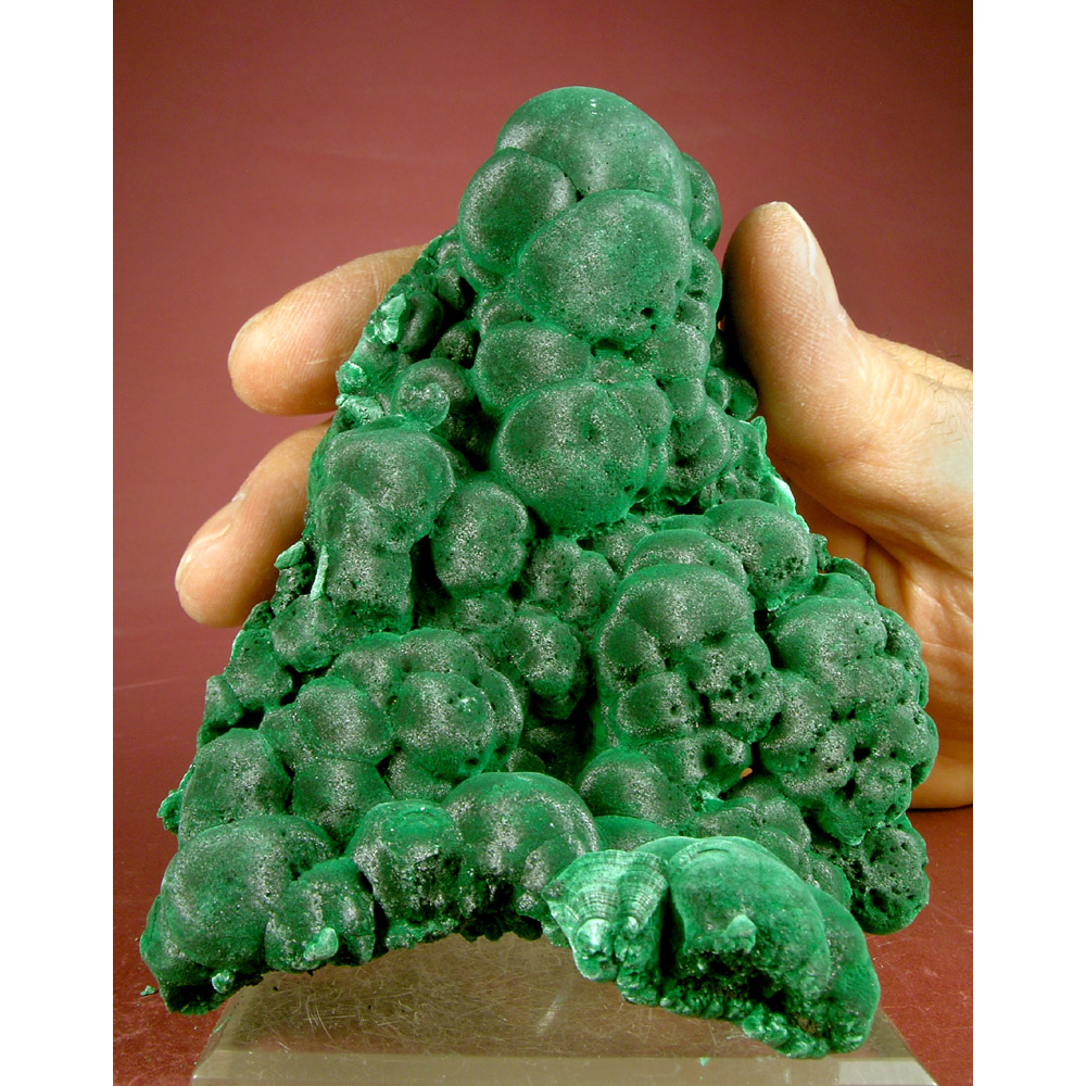 drma202601-001-med.jpg Malachite from Sepon Mine, Vilabouly, Laos - Image 1