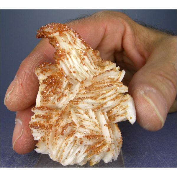 Vanadinite, Barite from Mibladen, Khenifra Province, Morocco - Image 2
