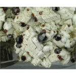 Spessartine, Smoky Quartz, Hyalite Opal, Feldspar from Wushan Mine, Fujian Province, China - Image 6