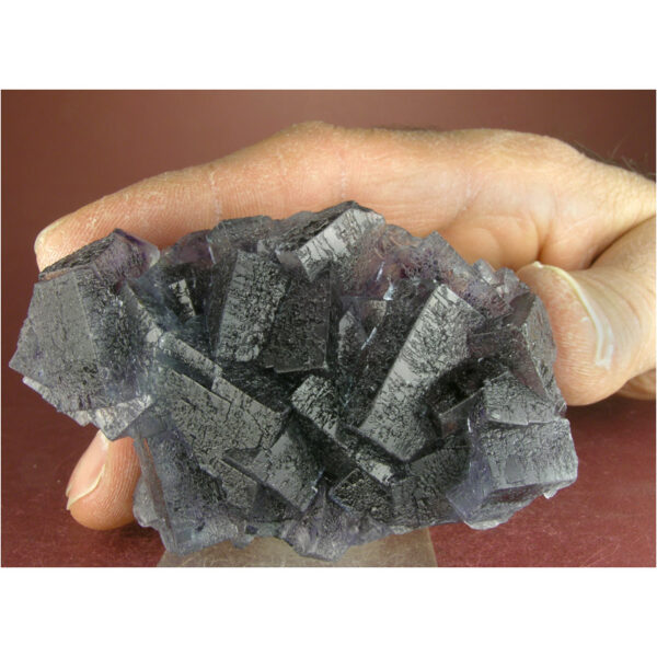 Fluorite from Yindu Mine, Inner Mongolia,  China - Image 6