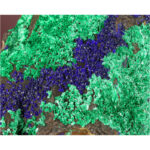 Azurite, Malachite from Aouli, Khenifra Province, Morocco - Image 3