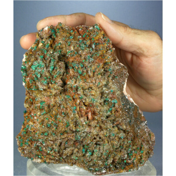 Rosasite, Selenite, Ferroan Dolomite from Bou Bekker, Touissit, Morocco - Image 2