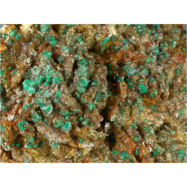 Rosasite, Selenite, Ferroan Dolomite from Bou Bekker, Touissit, Morocco - Image 3