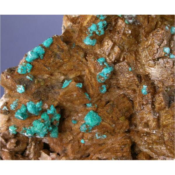 Rosasite, Ferroan Dolomite from Bou Beker, Touissit, Morocco - Image 3