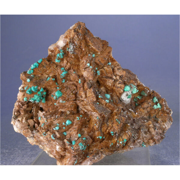 Rosasite, Ferroan Dolomite from Bou Beker, Touissit, Morocco - Image 4
