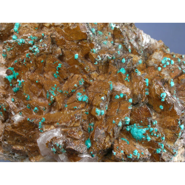 Rosasite, Dolomite, Selenite from Bou Beker, Touissit, Morocco - Image 3