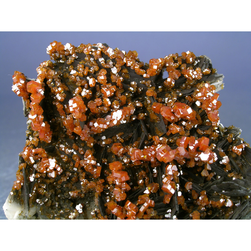 mlva202019-001-med.jpg Vanadinite, Barite from Mibladen, Khenifra Province, Morocco - Image 1