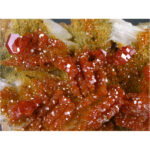 Vanadinite, Barite from Mibladen, Khenifra Province, Morocco - Image 4