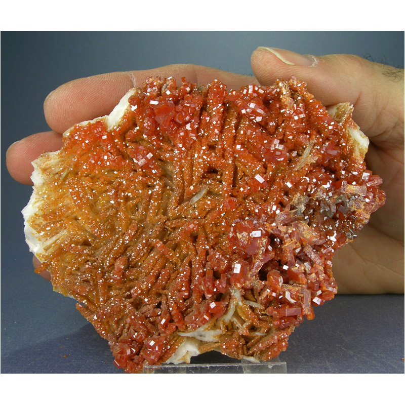 mlva740-001-med.jpg Vanadinite, Barite from Mibladen, Khenifra Province, Morocco - Image 1