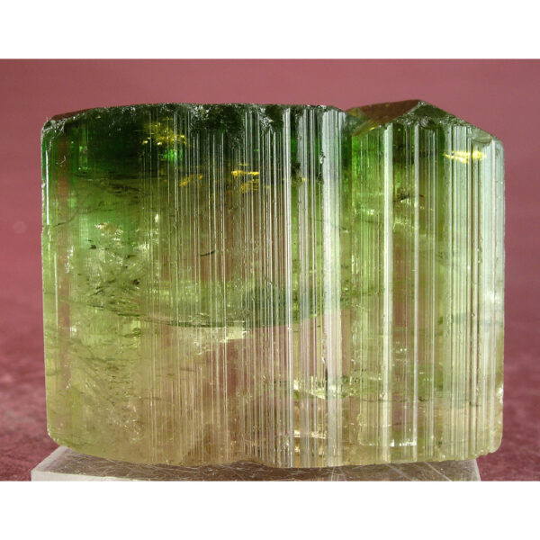Tourmaline var. Elbaite from Minas Gerais, , Brazil - Image 5