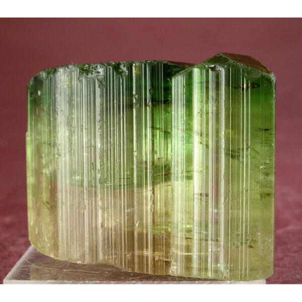 Tourmaline var. Elbaite from Minas Gerais, , Brazil - Image 6