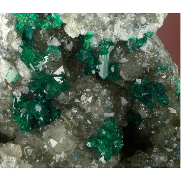 Dioptase, Quartz from Mindouli, Pool Dept., Republic of the Congo - Image 2