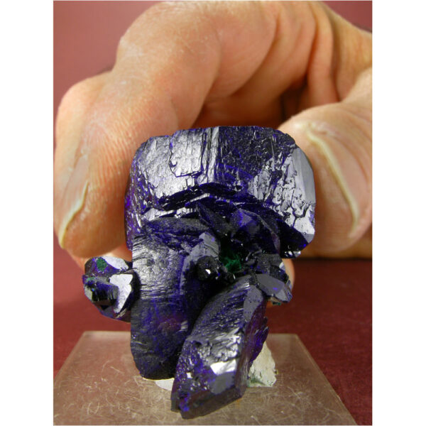 Azurite, Brochantite from Milpillas Mine, Sonora, Mexico - Image 7