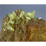 Adamite from Mina Ojuela, Durango, Mexico - Image 3