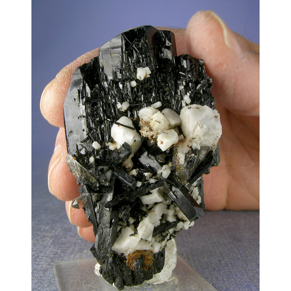 tsae202402-001-med.jpg Aegirine, Microcline from Mt. Malosa, Zomba, Malawi - Image 1