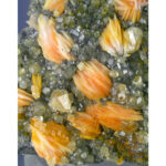 Cerussite, Barite, Galena from Mibladen, Khenifra Province, Morocco - Image 3