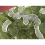 Fluorite from Minggang, Xinyang, Henan Province, China - Image 3