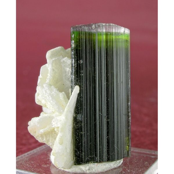 Tourmaline, Cleavelandite from Stak Nala, Baltistan, Northern Areas, Pakistan - Image 3