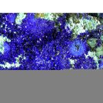 Azurite, Malachite from Liufengshan Mine, Anhui Province, China - Image 4