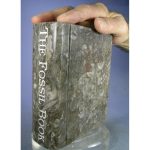Orthoceras Fossil "Book" from Erfoud, Draa-Tafilalet, Morocco