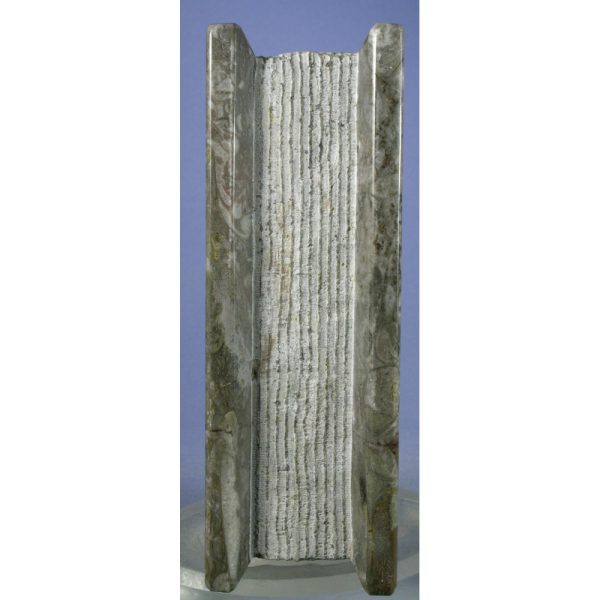 Orthoceras Fossil "Book" from Erfoud, Draa-Tafilalet, Morocco - Image 6