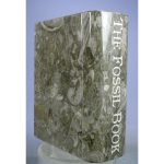 Orthoceras Fossil "Book" from Erfoud, Draa-Tafilalet, Morocco - Image 8