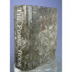 Orthoceras Fossil "Book" from Erfoud, Draa-Tafilalet, Morocco - Image 9