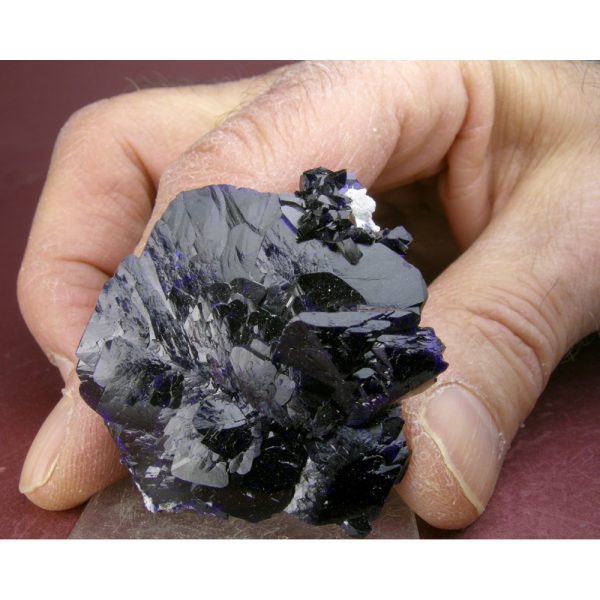 Azurite from Milpillas Mine, Sonora, Mexico - Image 4